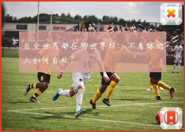 当全世界都在聊世界杯:不看球的人如何自处?