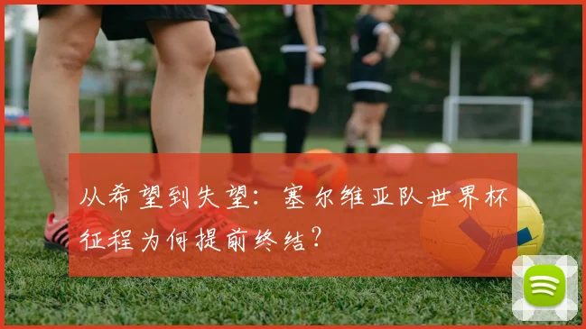 从希望到失望：塞尔维亚队世界杯征程为何提前终结？