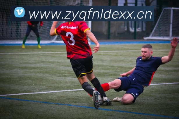 多媒体互动体验